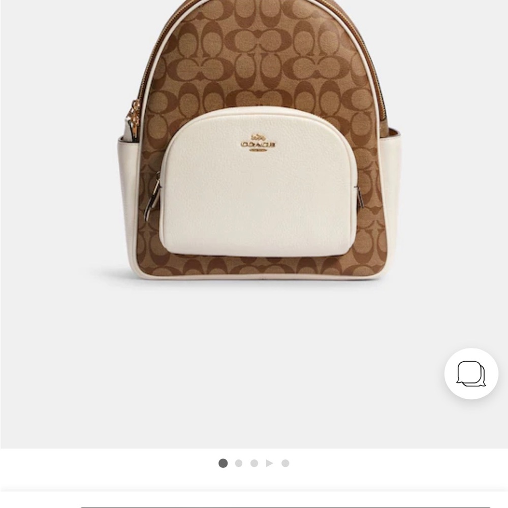 Back pack purse